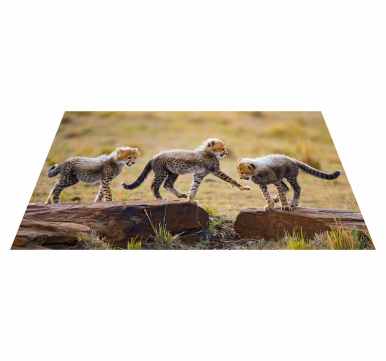 Vinylteppich Tiere Tier niedlichen gepardenjungen - TenStickers
