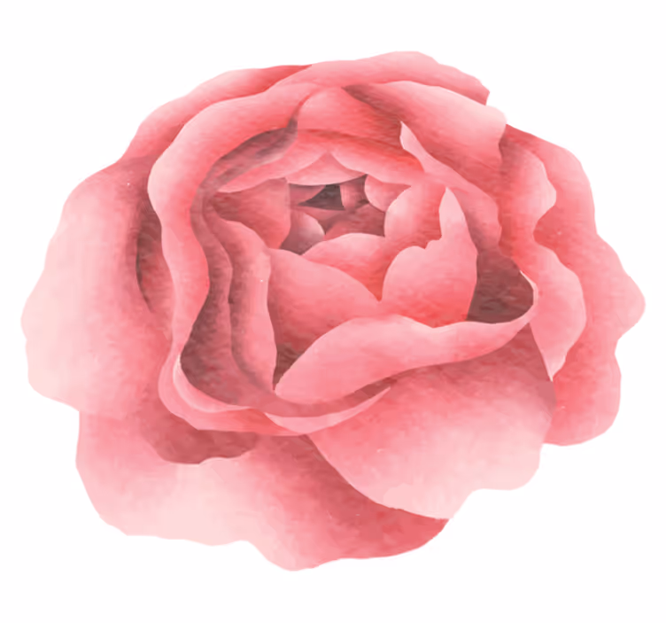 Vinyl teppich blumen in zartem rosa - TenStickers