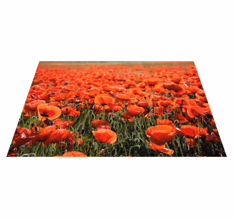 Vinyl teppich blumen leuchtend rote mohnblumen - TenStickers
