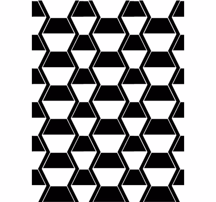 Tapete wohnzimmer in kosmopolitischem schwarz-weiß-hexagon - TenStickers