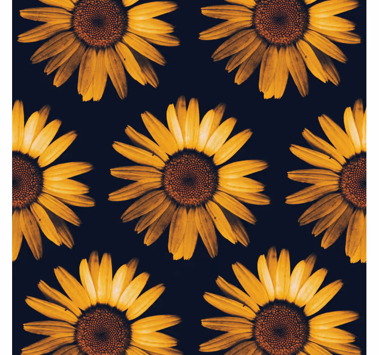Blumentapete gelbe sonnenblume - TenStickers