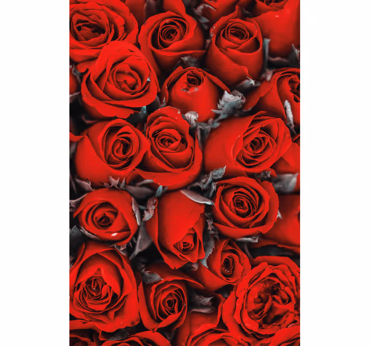 Blumentapete rote rosen romantisch - TenStickers