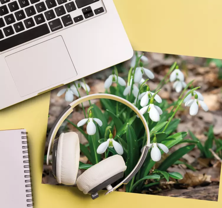 Schneeglöckchen waldlandschaft mehr Mauspads - TenStickers