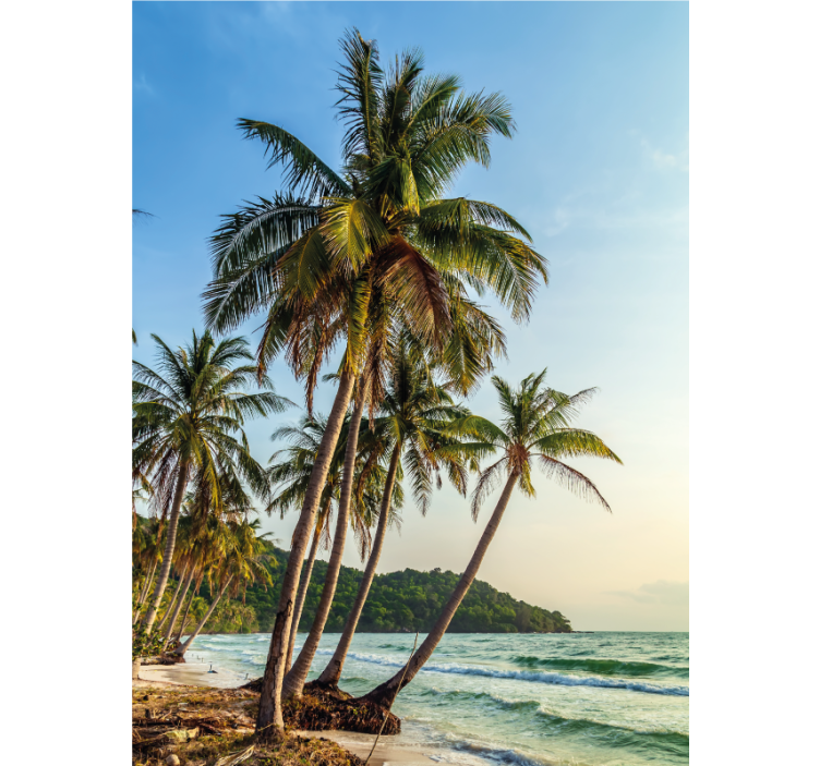 Rollo Fenster Badezimmer palmen am strand - TenStickers