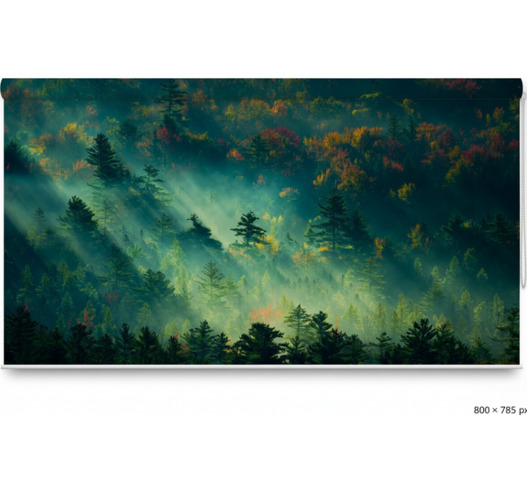 Rollo fenster baum der geheimnisvolle wald - TenStickers