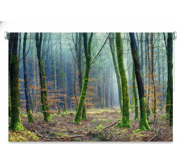 Rollo fenster baum nebelwald japandi - TenStickers