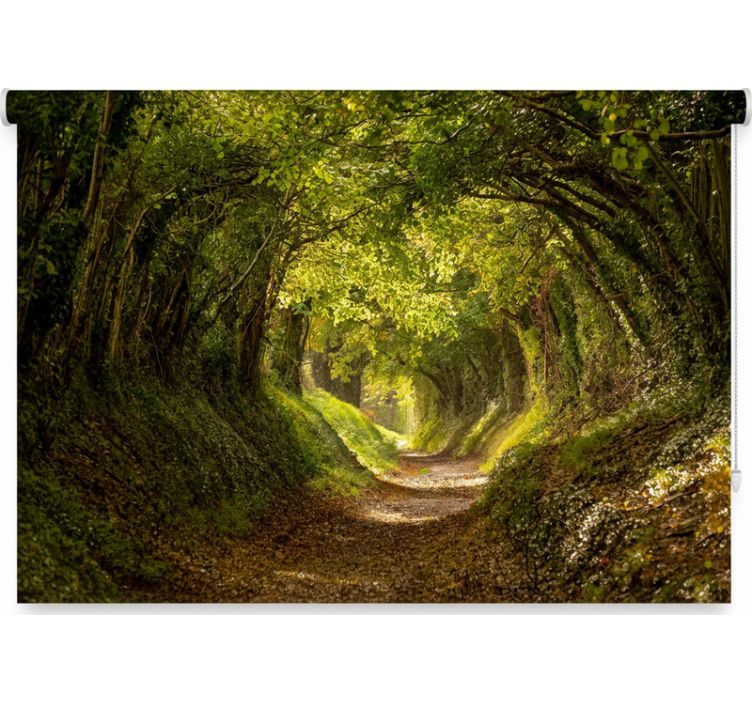 Rollo fenster baum mit eindrucksvollem waldmotiv - TenStickers