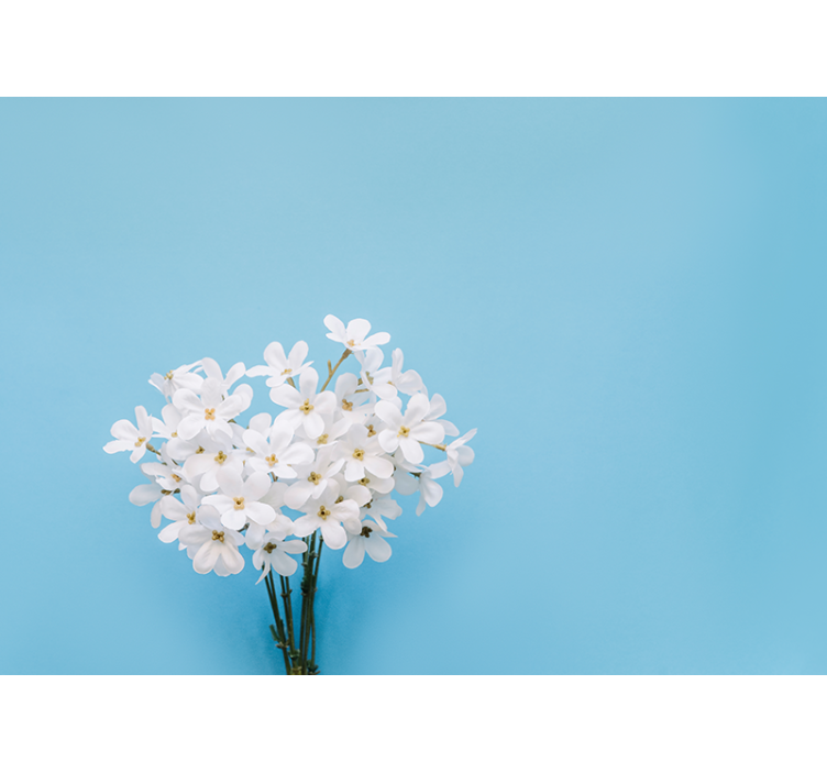 Rollo fenster blau jazmin blauer hintergrund - TenStickers