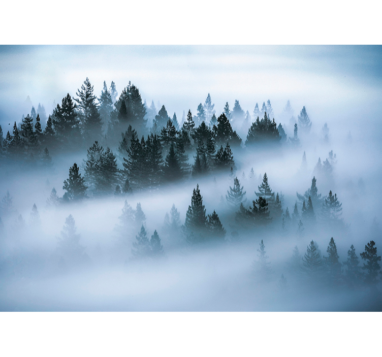 Rollo fenster wohnzimmer morgendlicher nebel - TenStickers