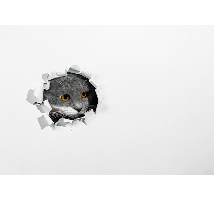 Rollo fenster weiß mit niedlicher katze - TenStickers