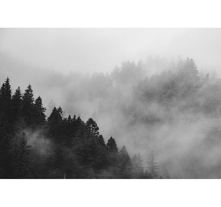 Rollo fenster grau schwarzweißer nebliger wald - TenStickers