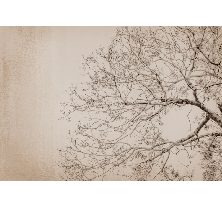 Rollo fenster beige im japandi blumenstil - TenStickers