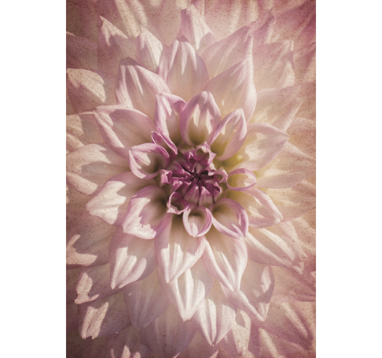 Rollo Fenster Blumen und Pflanzen zarte blüte - TenStickers