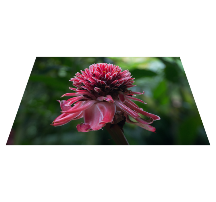 Tischsets originell tropisches blumenarrangement - TenStickers