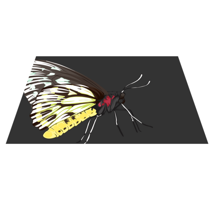 Tischsets originell mit bunten schmetterlingen - TenStickers