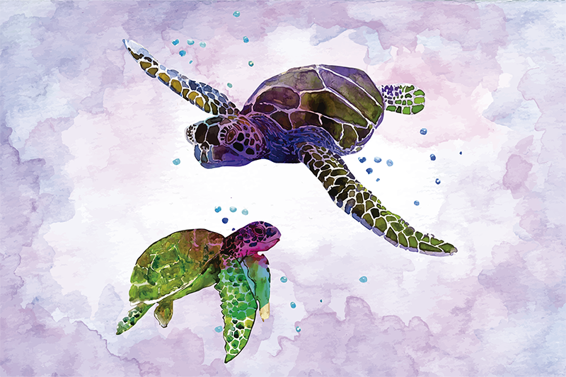 Tischsets originell mit bunter schildkrötenillustration - TenStickers