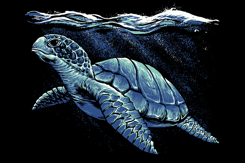 Tischset blau Schildkröte Handzeichnung - TenStickers