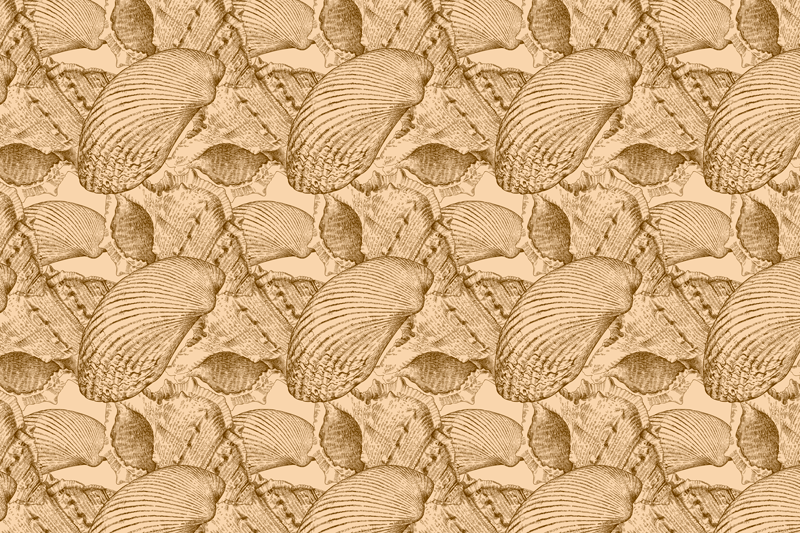 Tischset textur muscheloberfläche - TenStickers