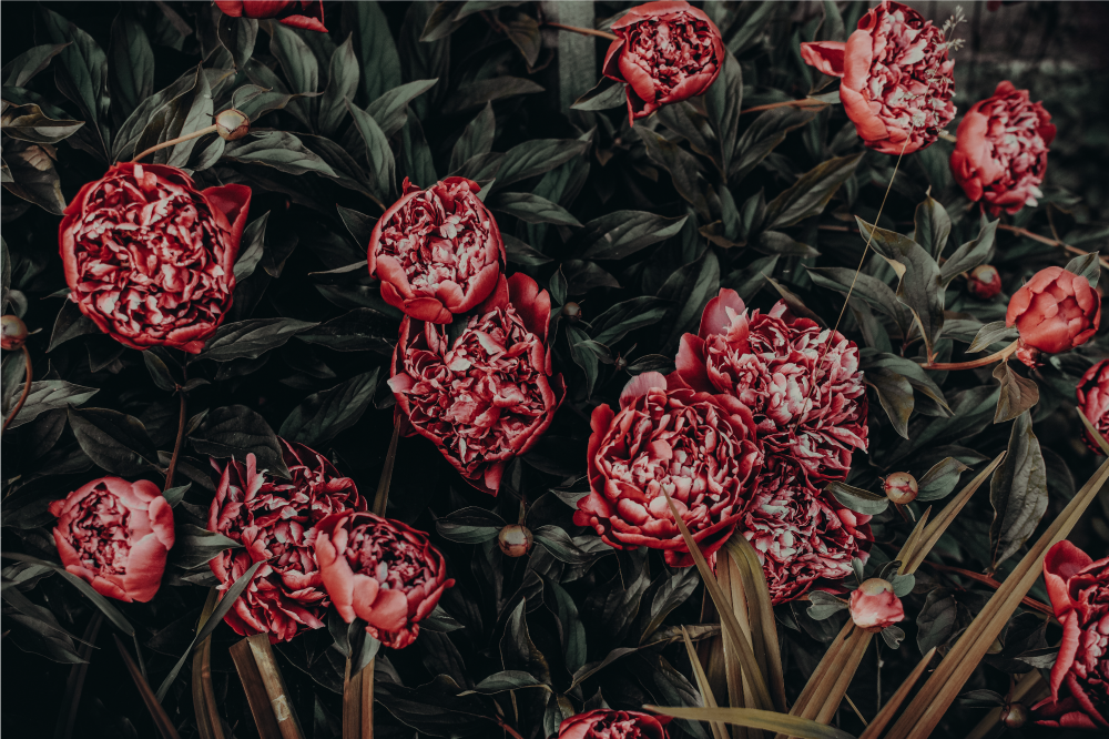 Tischset textur lebhaftes blumenmuster - TenStickers