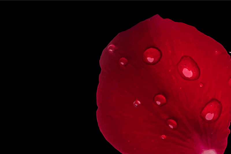 Tischset textur rote blütenblatt-oberfläche - TenStickers