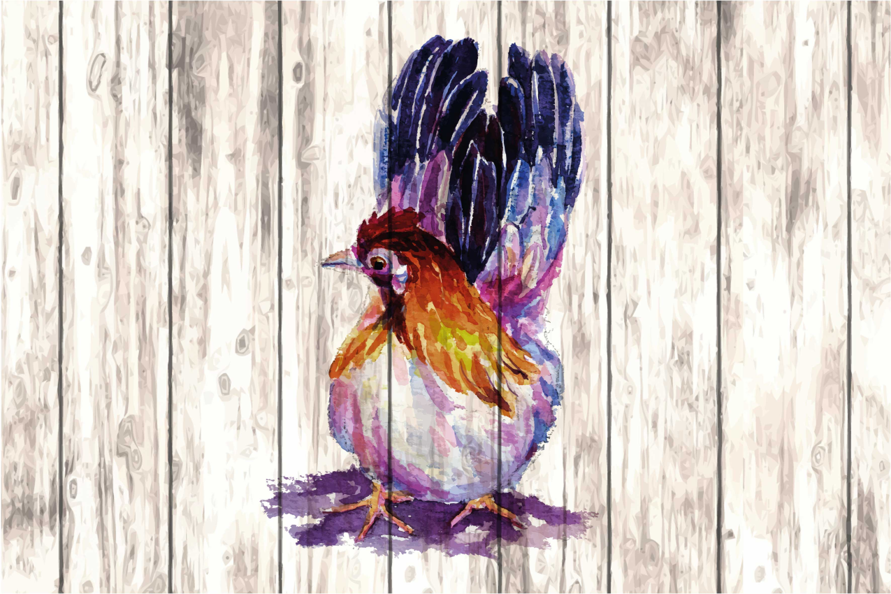 Tischsets originell mit bunter vogelillustration - TenStickers