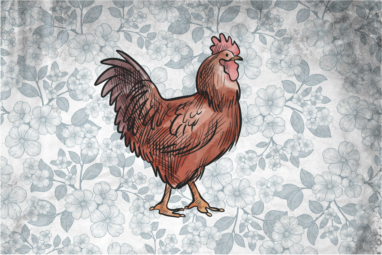 Tischsets originell mit rustikaler hühnerillustration - TenStickers
