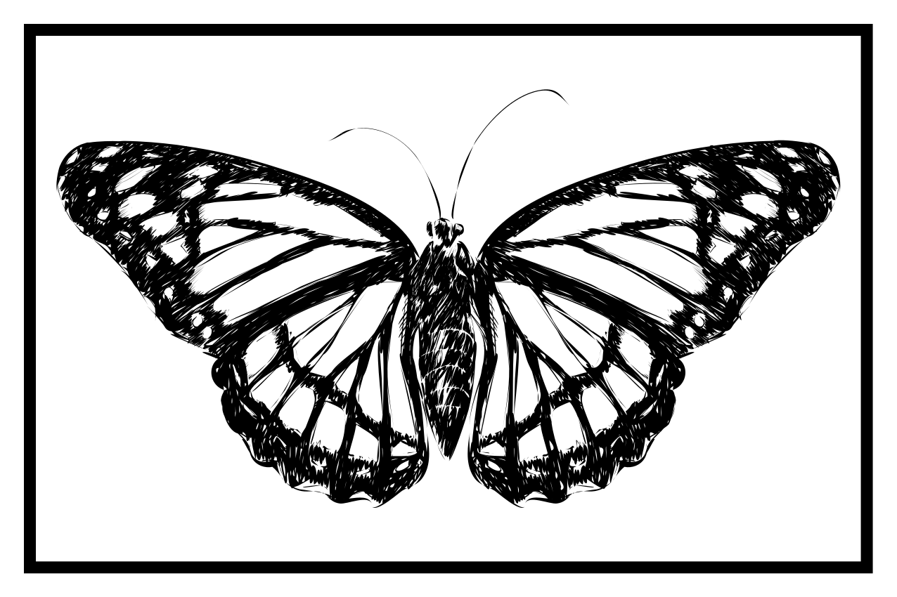 Tischsets originell mit eleganter schmetterlingsillustration - TenStickers