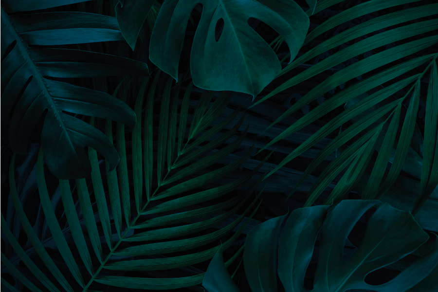 Tischset textur mit tropischem blätterdesign - TenStickers