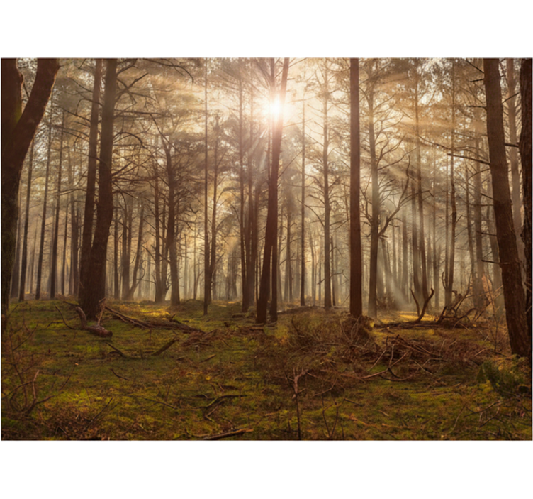 Fototapete wald goldene tierwelt lounge - TenStickers