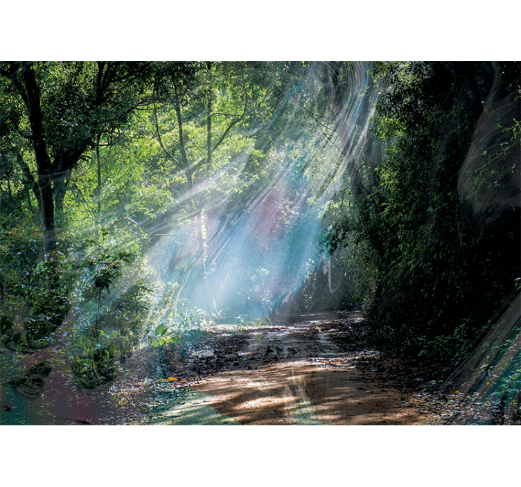 Fototapete natur strahlender waldweg - TenStickers