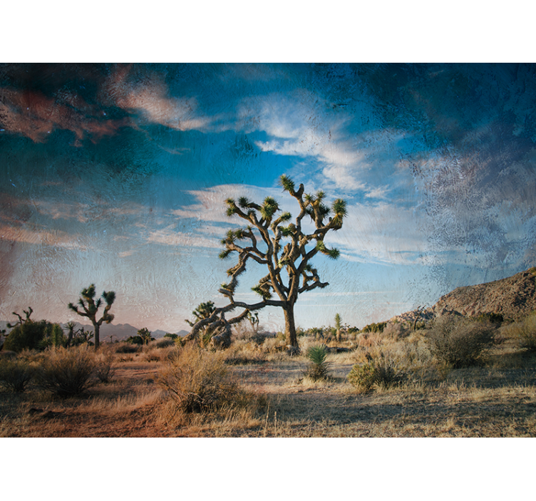 Fototapete Natur joshua tree landschaft - TenStickers