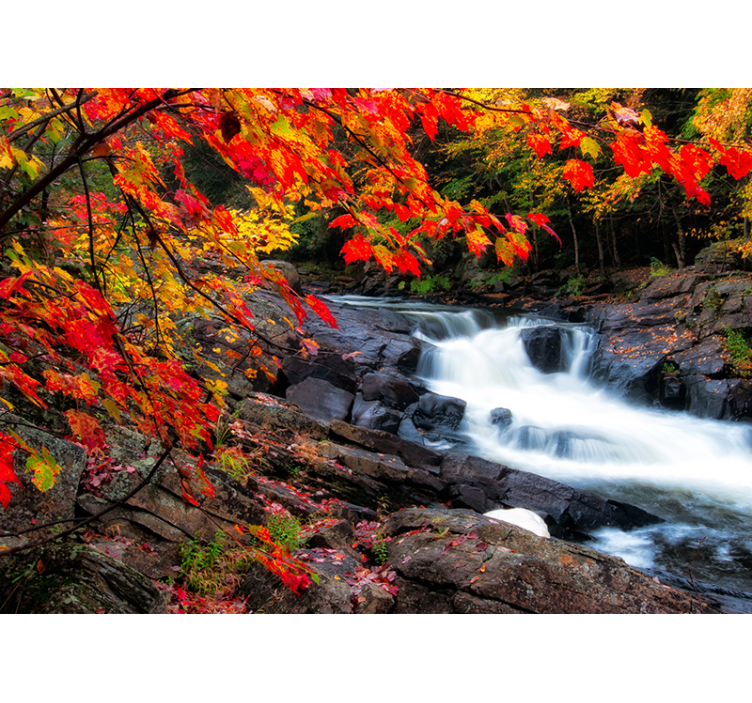 Fototapete wald herbst wasserfall landschaft - TenStickers