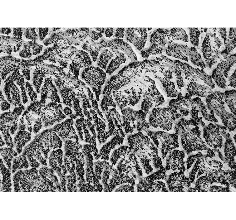 Fototapete muster organisches textur muster - TenStickers