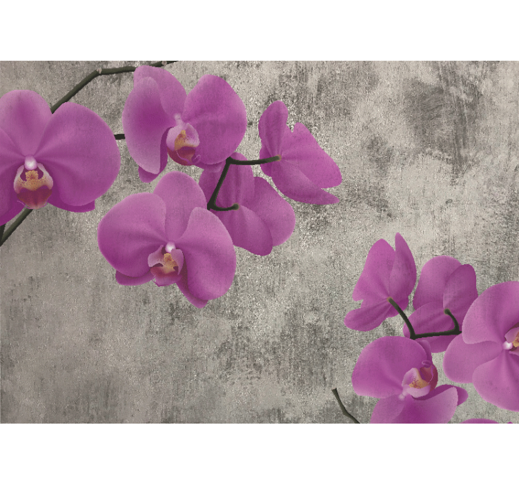 Fototapete blumen rosen und orchideenblüten - TenStickers