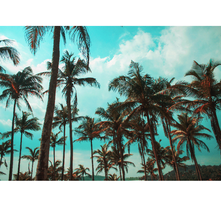 Fototapete natur palmenparadies - TenStickers