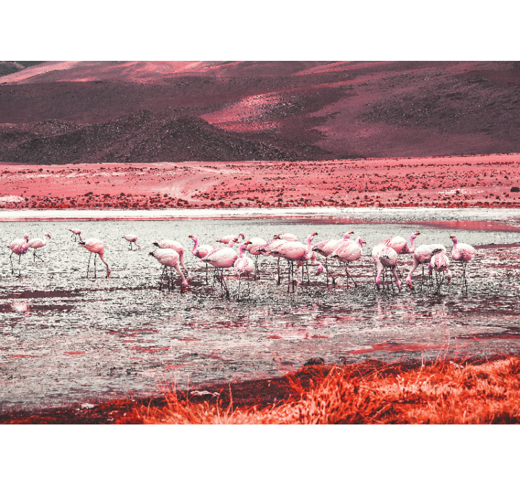 Fototapete tiere flamingo lebensraum szene - TenStickers