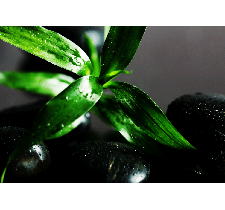 Fototapete natur frische blatttextur - TenStickers