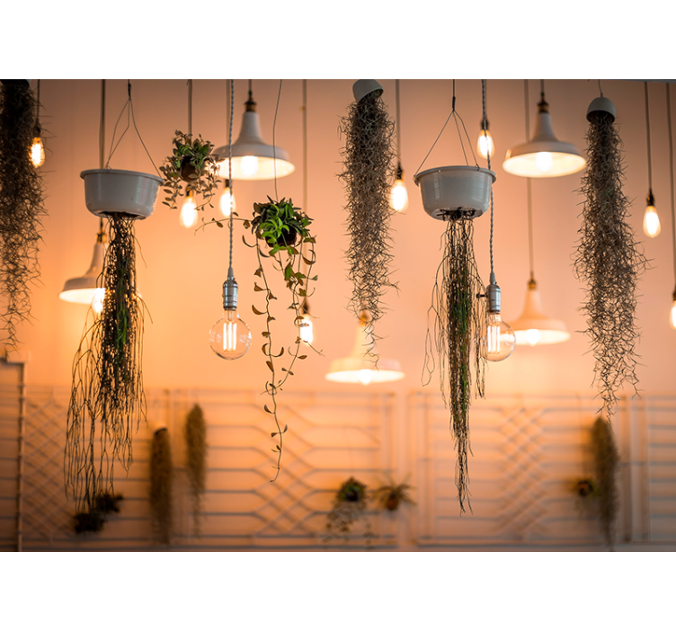 Fototapete Schlafzimmer Hängende glühbirnen mit Pflanzen - TenStickers