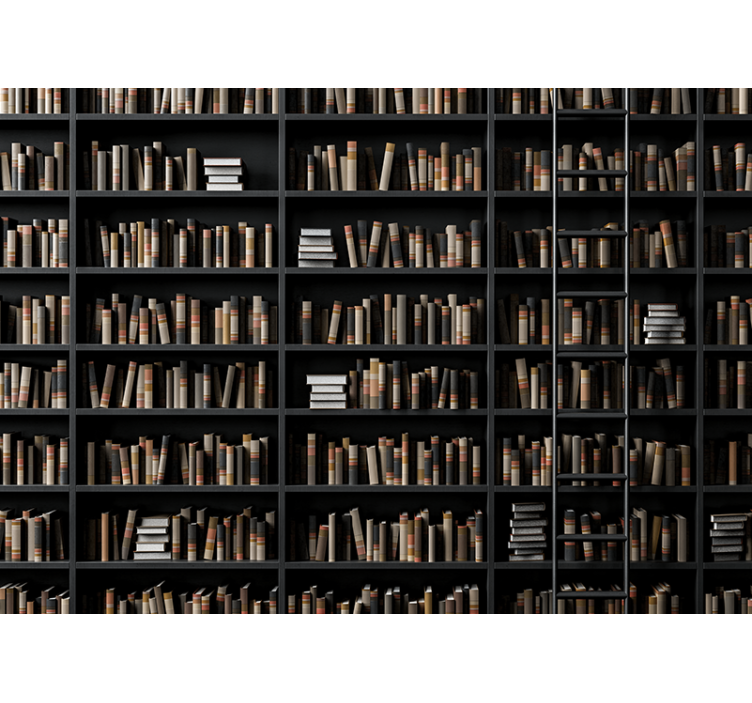 Fototapete steinoptik bibliotheksbuchsortiment - TenStickers