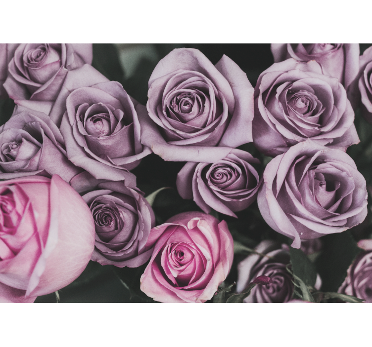 Fototapete blumen lavendelrosenstrauß - TenStickers