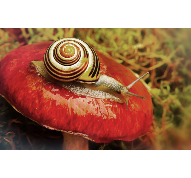 Fototapete tiere schnecke auf pilz - TenStickers