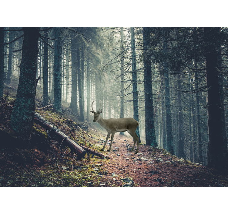 Fototapete wald reh im wald - TenStickers