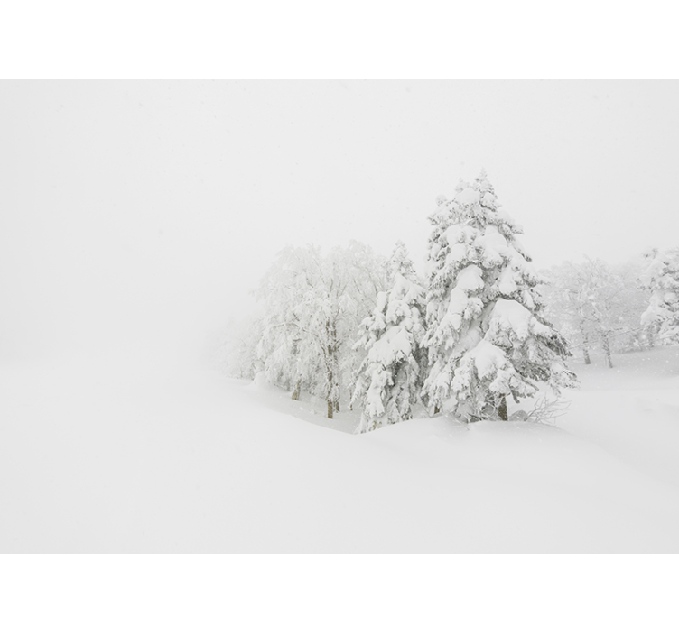 Wintersturm und Bäume Wald Fototapete - TenStickers