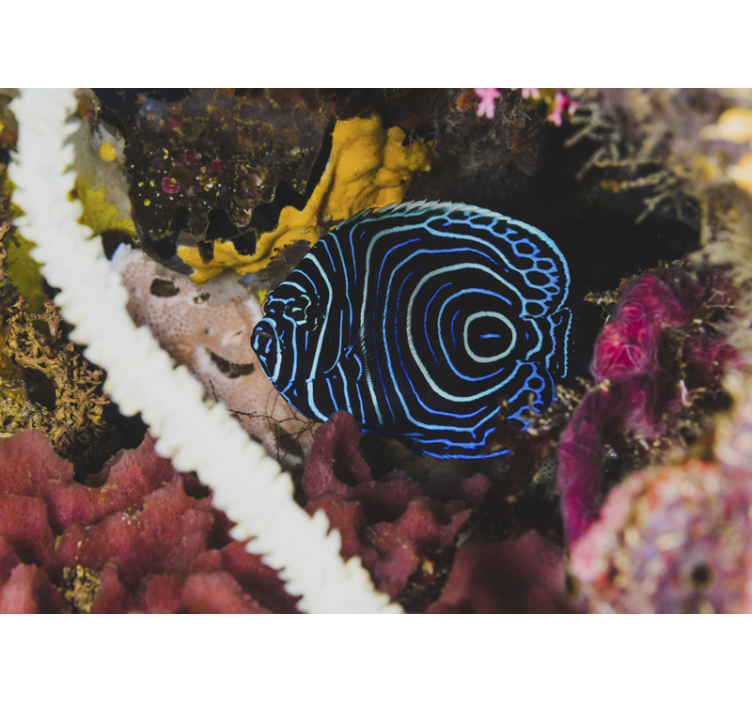 Fototapete tiere mit blauen fischmustern - TenStickers