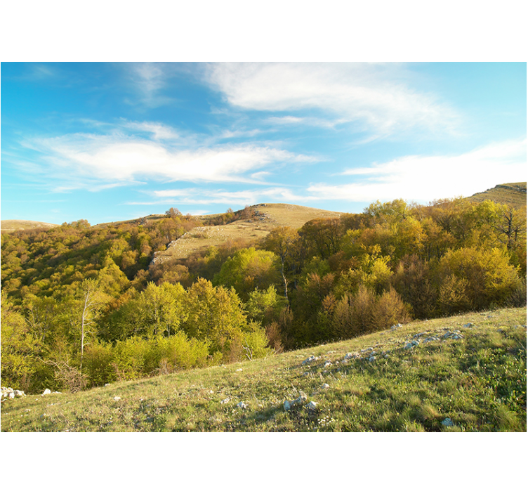 Fototapete landschaft sanfte hügel landschaft - TenStickers