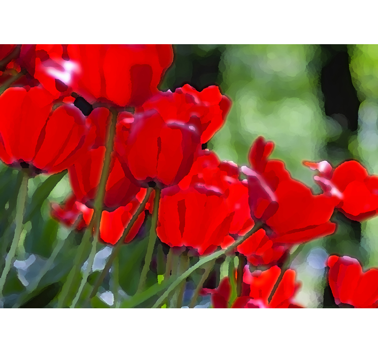 Fototapete Mohnblumen leuchtend rote blüten - TenStickers
