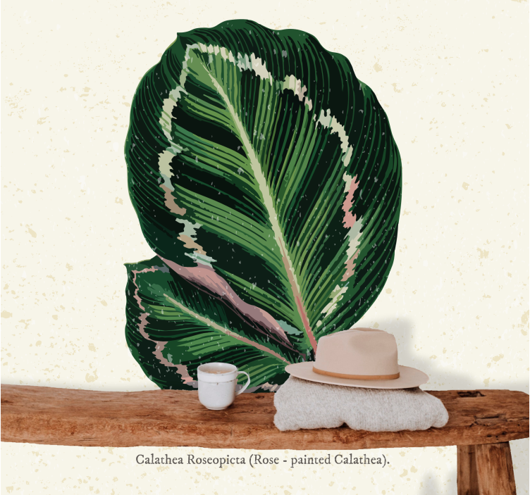 Fototapete blumen calathea blatt darstellung - TenStickers