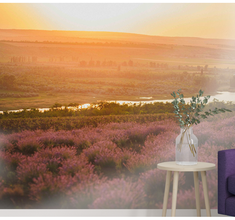 Fototapete Blumen lavendel sonnenuntergang landschaft - TenStickers
