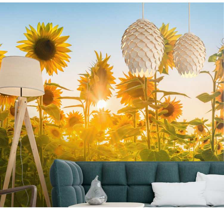 Fototapete Blumen sonnenblumenfeld glühen - TenStickers