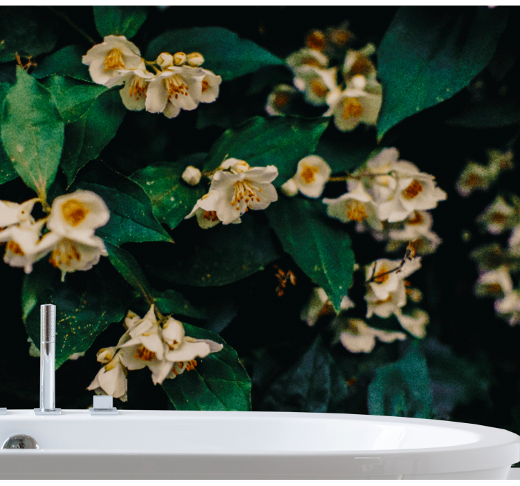 Fototapete blumen zarte weiße blüten - TenStickers